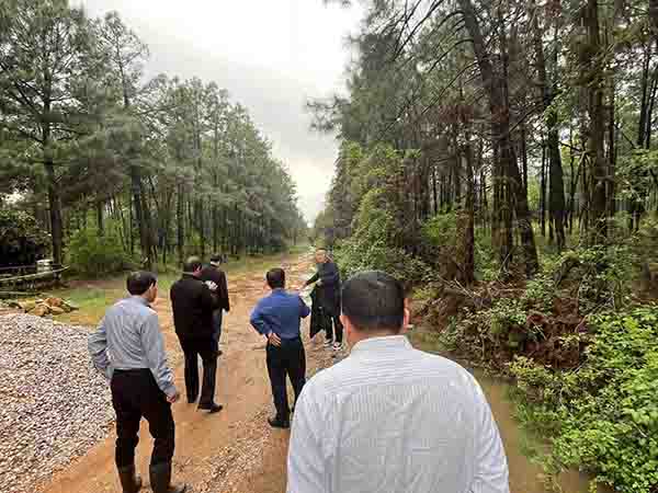 9州体育网址组织开展上饶市重点区域森林防火阻隔系统生物防火林带鄱阳建设项目初步设计评审会