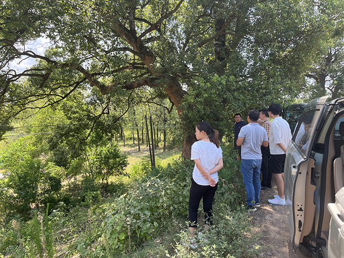 9州体育网址组织召开万安县通津河河流整治工程项目初步设计评审会