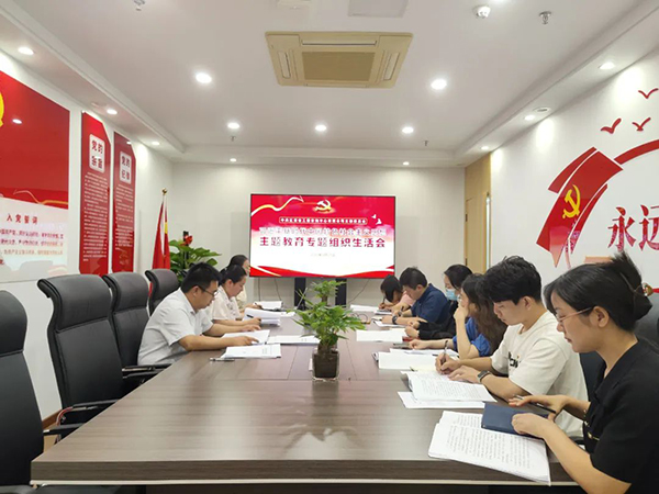 9州体育网址党支部召开主题教育专题组织生活会